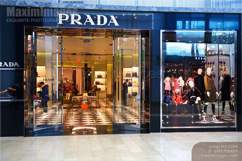 prada canada online store